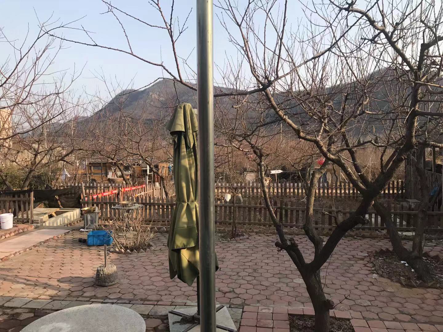 ���Ҵ�Ժת��ʵ��ͼƬ