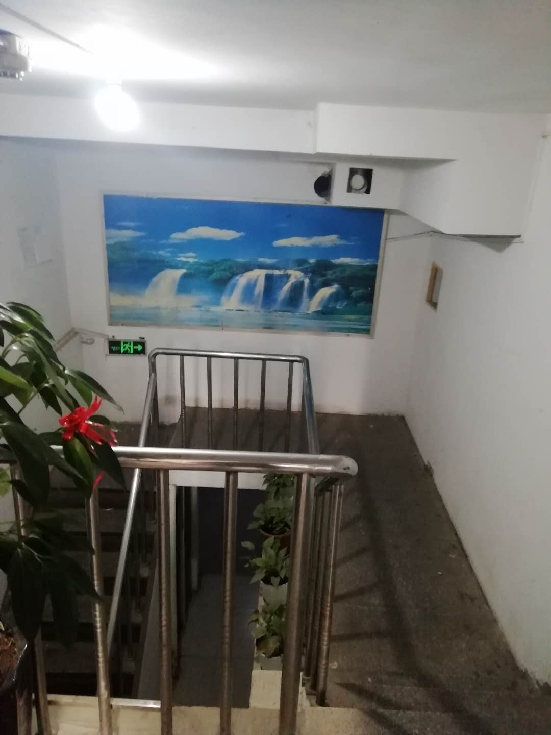 ��ɽ���ڼ��47��Ԣת��ʵ��ͼƬ