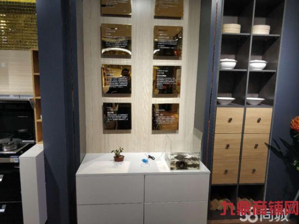 (ת��) ӯ����һ��Ʒ�Ƽ��������ת��ʵ��ͼƬ