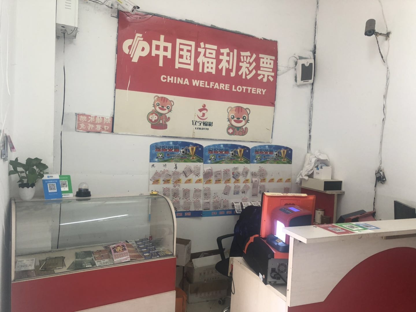 11���ϵ�˫���ֲ�Ʊվת��ʵ��ͼƬ