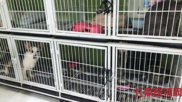 ��װ�����ת��ʵ��ͼƬ