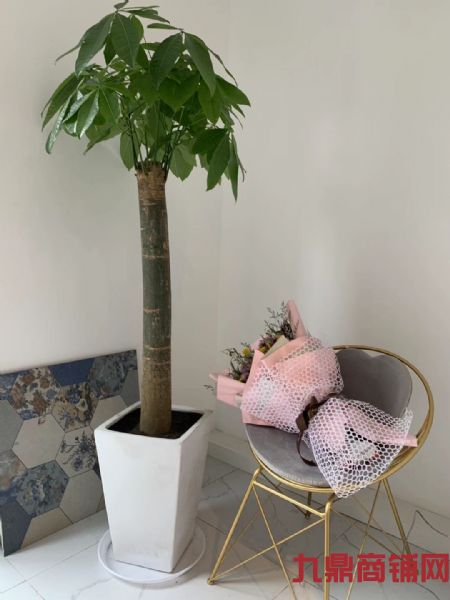 ��װ�޷�װ��ת��ʵ��ͼƬ