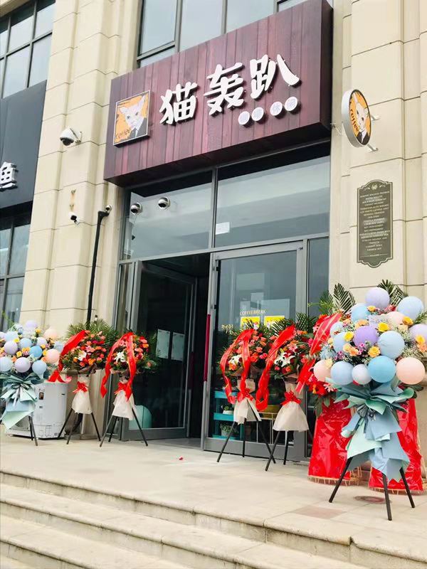 (ת��) ����԰��ѧ��è��ת��ʵ��ͼƬ