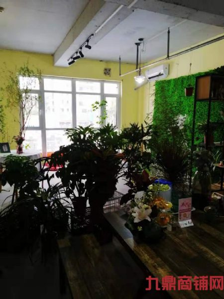 ����ʵ��ͼƬ