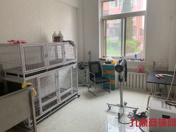 �����㳡�����ת��ʵ��ͼƬ