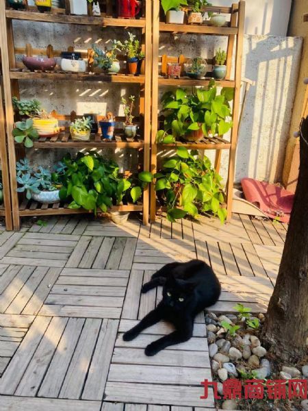 ���˹㳡�ڼ��ӯ�������ߵ�ʵ��ͼƬ