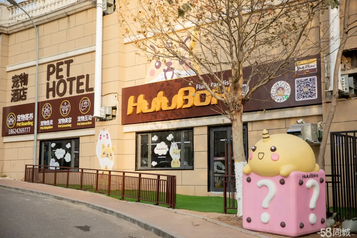 ������ӳ����������Ƶ� �������ʵ��ͼƬ