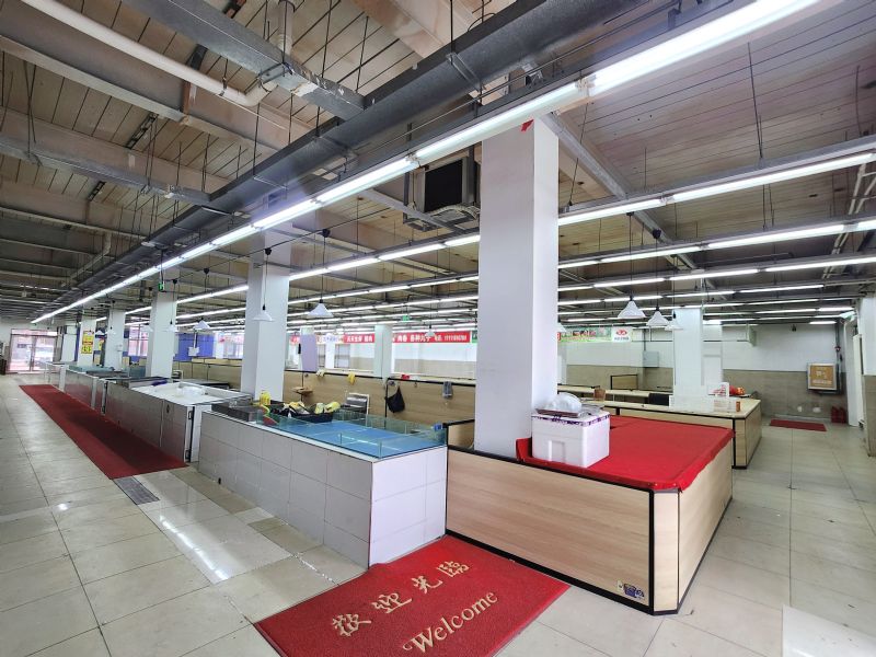 ����ת�÷ѣ����³����ٽֶ����������⣨�����⡢�ɷ��⣩ʵ��ͼƬ