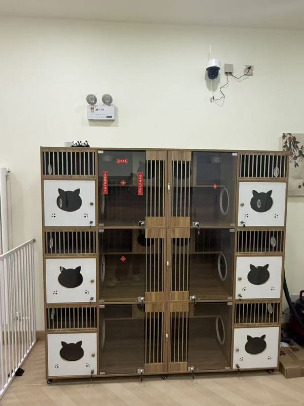 ���Ŷ����̣��ʾ���������·�ٽֳ����������ң��ɿ�ת��ʵ��ͼƬ